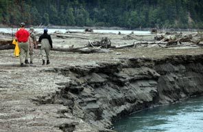 Scientists walk in an area that once held Lake Aldwell. For the first time in a century, the Elwha River now rushes through the landscape. 