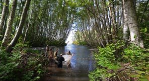 The team from the Northwest Fisheries Science Center uses nets to perform a fish count in a side channel of the Elwha River while documenting the river above and below the dams that will be removed next year.  
