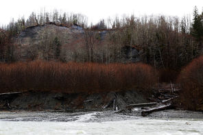 Gold Basin sits  at a low bend of the South  Fork of the Stillaguamish  River across from a hill  that rises about 700 feet and has a history of slides going back decades.  