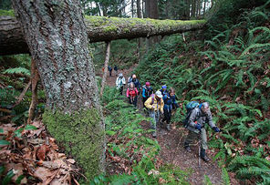 Pete Girard, right, leads a hike on Squak Mountain, usually snow-free.